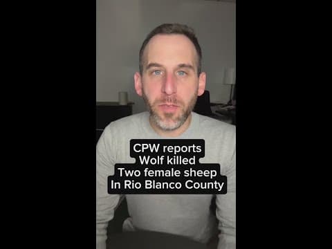 CPW reports livestock killed by wolf in Rio Blanco County