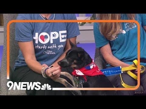 Chulita hopes she catches your eye and your heart