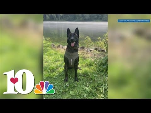 Anderson Co. K-9 gets life-saving vest