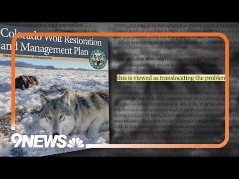 CPW document detailing livestock killed by wolves uncovered by 9NEWS Investigates