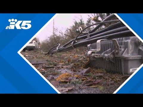 Deadly windstorm damaged 400 miles of transmission lines, Puget Sound Energy says