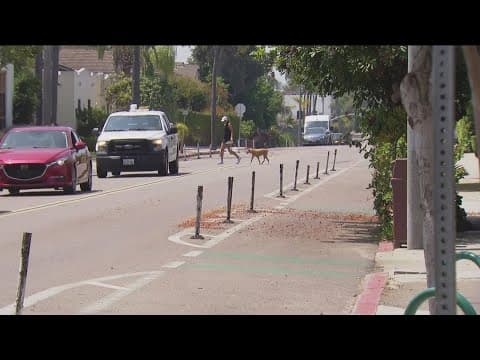 Collision on a separated bike lane in North Park spurs legal action
