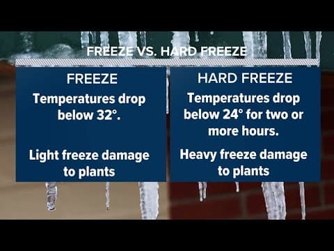 Arctic blast timeline: When and how cold will it get in Houston?