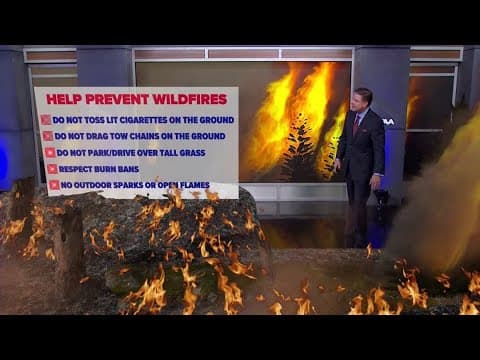 Critical fire danger in North Texas Friday. Here's what you need to know.