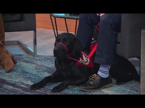 Can-Do Canines to host open house Saturday in New Hope