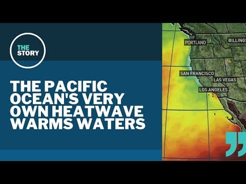 The Pacific Northwest is seeing its own marine heatwave