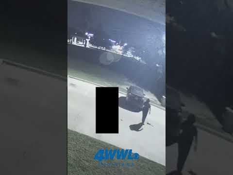 Shocking: Louisiana woman critically injures coworker in hit-and-run, hides evidence, police say