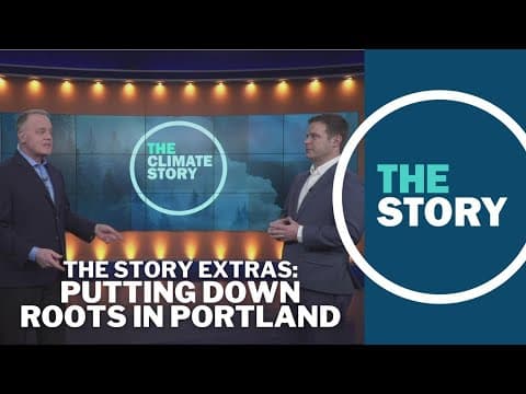 The problem with planting trees in Portland | The Story extras