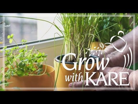 Grow with KARE: Indoor herb gardening for winter