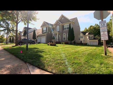 Autumn lawn care tips | ECO9