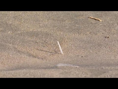 Medical waste washes up along Maryland beaches, prompting Ocean City to close