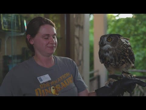Dallas Zoo announces new summer hours to help animals and guests alike avoid the heat