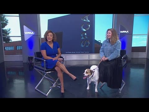 Tailwaggers: Meet Hank