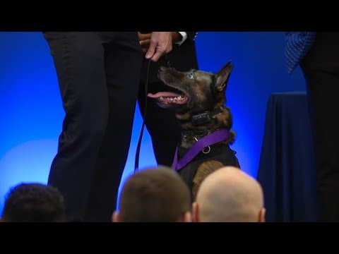 IMPD holds awards ceremony honoring officers, staff and community members