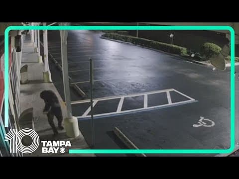 Man caught on camera breaking into Winter Haven pizza shop