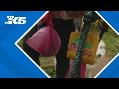 Biodegradable bags causing 'poop bombs' on local trails