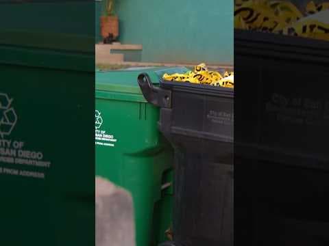 Police say dead body found inside freezer is a woman missing for nearly 9 years #crime #news #body