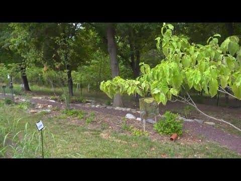 Environment Matters: Storm Water Management