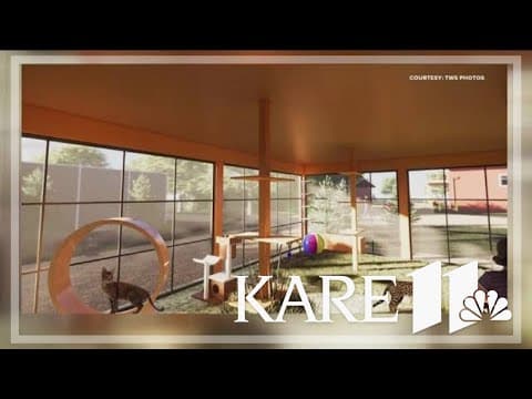 Sandstone wildcat sanctuary to break ground on catio town