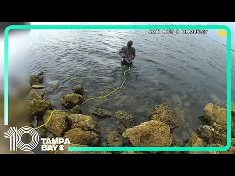 Bodycam video: Hillsborough deputies carry man accused of stabbing, arson out of the Gulf