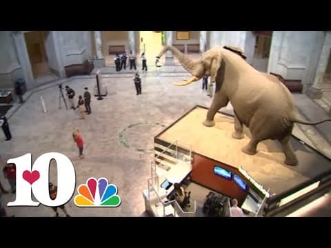 White House reviewing Smithsonian Museum exhibits to make sure they align with Trump's vision