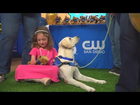 Meet Zoey | Raising donations for the Rady Children's Resident Canine Therapy program in San Diego