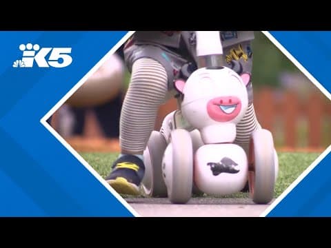 Kidnapping of toddler from daycare raises concerns about safety