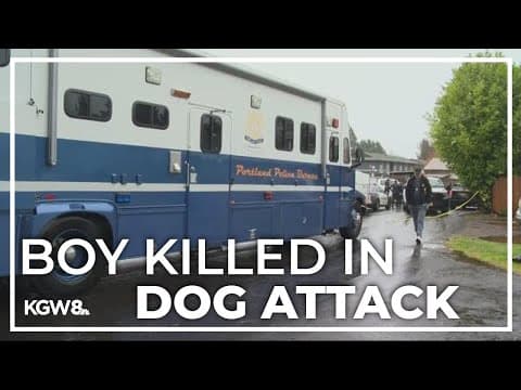 6-year-old boy dead from dog attack in Northeast Portland
