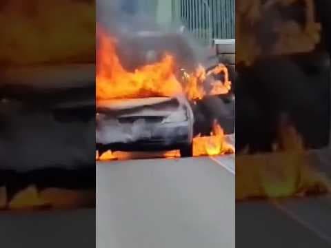 Good Samaritan stops to help woman, dog after their car bursts into flames in Tacoma Narrow bridge