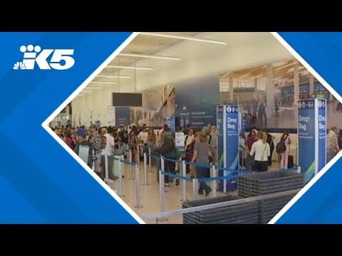 Construction adds to congestion as SEA Airport sees record passenger numbers