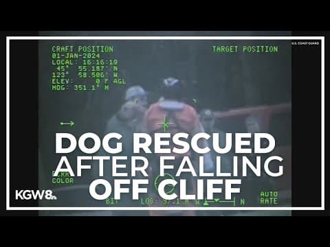 Coast Guard rescues dog that fell off cliff in Cannon Beach