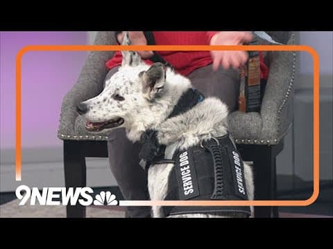 Colorado Pet Pantry is in need of donations