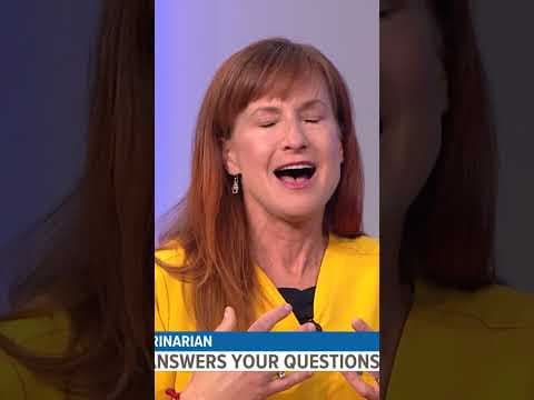 Bad dogs, or bad owners?