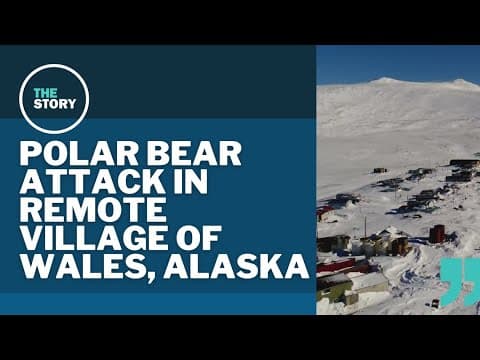 The connection between a polar bear attack in Alaska and KGW’s environmental reporter
