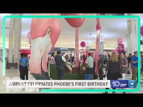 TPA celebrates Phoebe the Flamingo's birthday