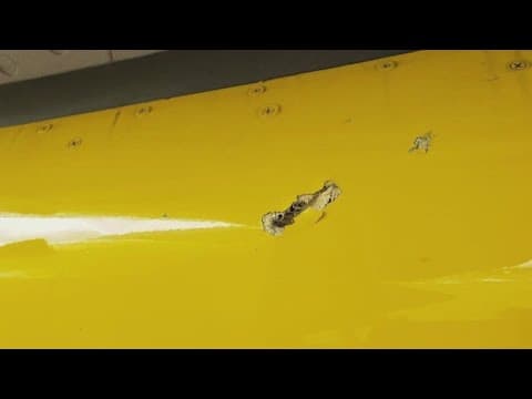 US airlines prohibited from flying to Haiti for 30 days after gangs shot Spirit Airlines plane