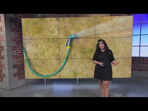 Drought watches have been issued around the DMV