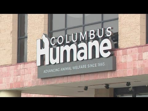 Columbus Humane CEO says dogfighting is a 'consistent challenge' after dozens of dogs seized