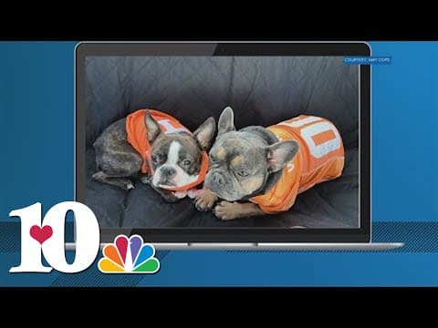 Pups ready to help Smokey pull for Tennessee