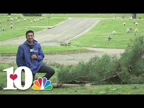 High winds in Hamblen County knock down several trees