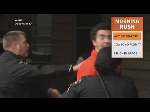 Luigi Mangioni faces new terrorism charge