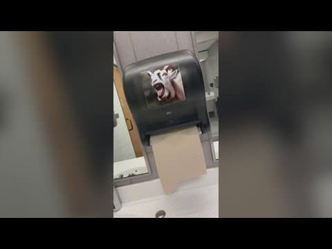 Viral TikTok of paper towel dispenser prank gets laughs out of WFAA Daybreak crew