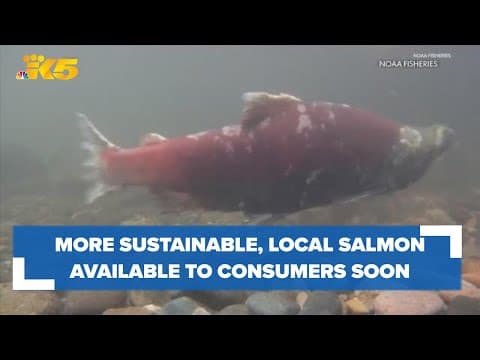 Washington coastal commercial troll Chinook fishery to open soon