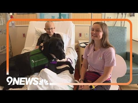 Medical dogs make a difference with Children's Hospital patients