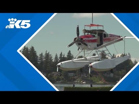 'We felt very helpless': Neighbors react to seaplane crash