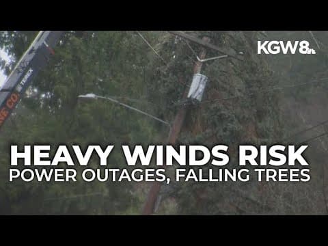 Heavy winds bring risk of power outages, falling trees in Willamette Valley