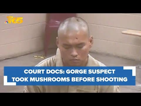 Gorge shooting suspect allegedly had mushroom hallucination prior to deadly shooting, court docs say