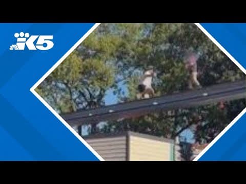 Young boy rescued from monorail track at Pennsylvania theme park