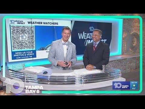 10 Tampa Bay Weather: August 17, 2024