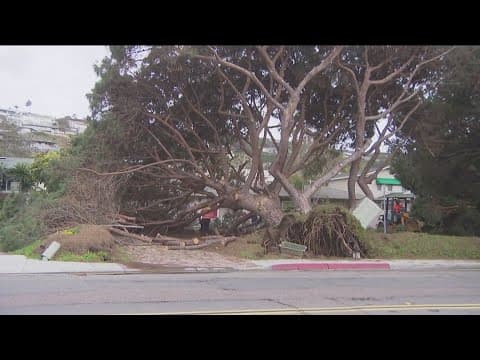 Road closures, downed trees as another atmospheric river hits San Diego County